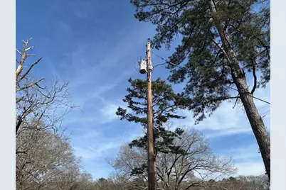 0 SE Barnett Road, Sharon, GA 30631 - Photo 19