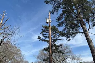 0 SE Barnett Rd, Sharon, GA 30631 - Photo 19