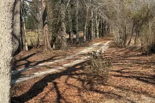 365 Shields Pond Rd, Thomson, GA 30824 - Photo 33