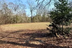 365 Shields Pond Rd, Thomson, GA 30824 - Photo 31