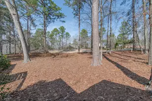 101 Loganberry Ct, Aiken, SC 29803 - Photo 29