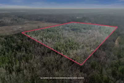 1816 Sterling Gibson Road, Thomson, GA 30824 - Photo 15