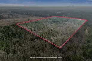 1816 Sterling Gibson Rd, Thomson, GA 30824 - Photo 15