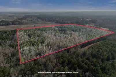 1816 Sterling Gibson Road, Thomson, GA 30824 - Photo 13