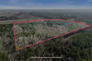 1816 Sterling Gibson Rd, Thomson, GA 30824 - Photo 13