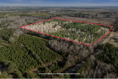 1816 Sterling Gibson Road, Thomson, GA 30824 - Photo 9