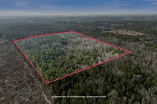 1816 Sterling Gibson Rd, Thomson, GA 30824 - Photo 21