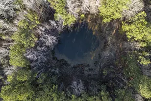 1816 Sterling Gibson Rd, Thomson, GA 30824 - Photo 27