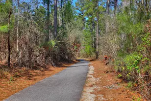 3441 Hilltop Trl, Evans, GA 30809 - Photo 51