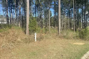 Lot O-4 Budwell Ct, North Augusta, SC 29860 - Photo 1