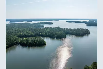 1036 Longleaf Way, Lincolnton, GA 30817 - Photo 61