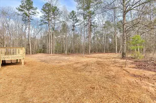 3116 Mitchner Rd Ext, Dearing, GA 30808 - Photo 45