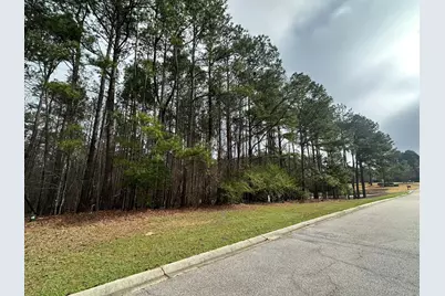 1048 Longstreet Place, North Augusta, SC 29860 - Photo 3