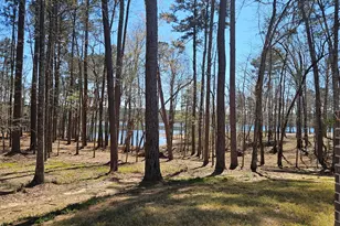 1199 Pawnee Dr, Lincolnton, GA 30817 - Photo 65