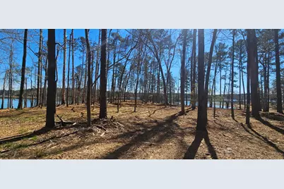 1199 Pawnee Drive, Lincolnton, GA 30817 - Photo 67