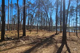 1199 Pawnee Dr, Lincolnton, GA 30817 - Photo 67