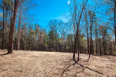 00 Mt. Zion Church Road, Lincolnton, GA 30817 - Photo 11