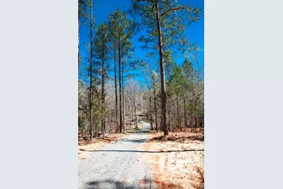 00 Mt. Zion Church Road, Lincolnton, GA 30817 - Photo 19