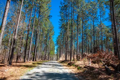 00 Mt. Zion Church Road, Lincolnton, GA 30817 - Photo 17