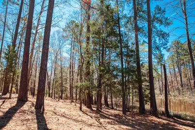00 Mt. Zion Church Road, Lincolnton, GA 30817 - Photo 9