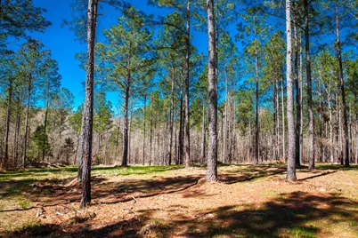 00 Mt. Zion Church Road, Lincolnton, GA 30817 - Photo 3