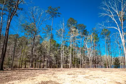00 Mt. Zion Church Road, Lincolnton, GA 30817 - Photo 5