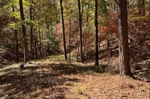 00 Ballentine Ct, North Augusta, SC 29860 - Photo 1