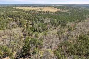 317 Square Circle Rd, Graniteville, SC 29829 - Photo 57