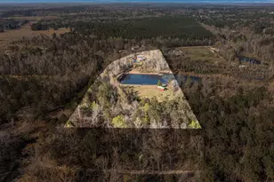 3768 Mitchner Rd, Dearing, GA 30808 - Photo 67