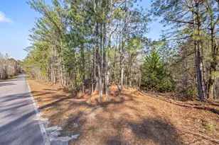 3768 Mitchner Rd, Dearing, GA 30808 - Photo 7