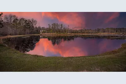 3768 Mitchner Road, Dearing, GA 30808 - Photo 75