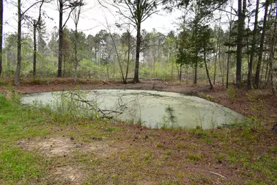 10656 Macon Highway, Jewell, GA 31045 - Photo 39