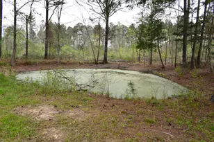 10656 Macon Hwy, Jewell, GA 31045 - Photo 39