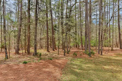 115 Rivanna Lane, McCormick, SC 29835 - Photo 61