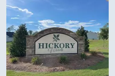 379 Tupelo Pass, Harlem, GA 30814 - Photo 45