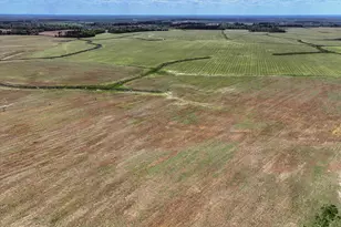 160 Pecan Ln, Waynesboro, GA 30830 - Photo 51