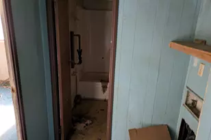 231 Holley St, Wagener, SC 29164 - Photo 9