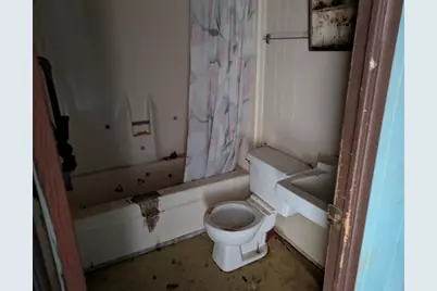 231 Holley Street, Wagener, SC 29164 - Photo 13