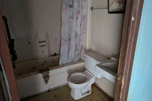 231 Holley St, Wagener, SC 29164 - Photo 13