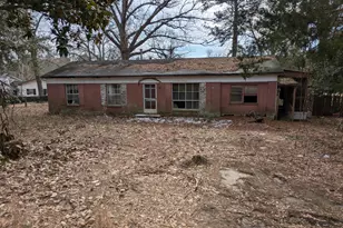 231 Holley St, Wagener, SC 29164 - Photo 1