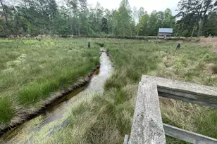 2009 Fort Creek Rd, Dearing, GA 30808 - Photo 21