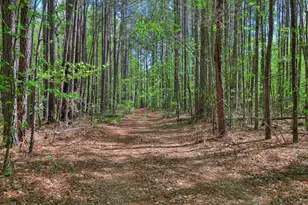 2146 Thomson Hwy, Warrenton, GA 30828 - Photo 49