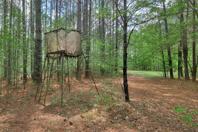 2146 Thomson Highway, Warrenton, GA 30828 - Photo 41