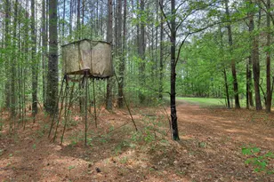 2146 Thomson Hwy, Warrenton, GA 30828 - Photo 41