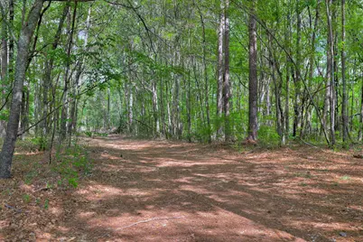 2146 Thomson Highway, Warrenton, GA 30828 - Photo 51