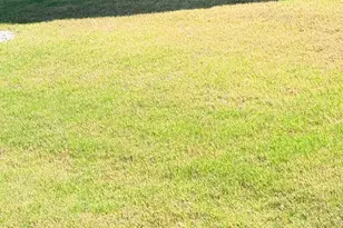 1213 Elbron Dr, Augusta, GA 30909 - Photo 9