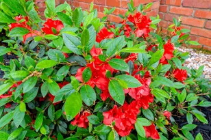 2166 Greene St, Augusta, GA 30901 - Photo 23