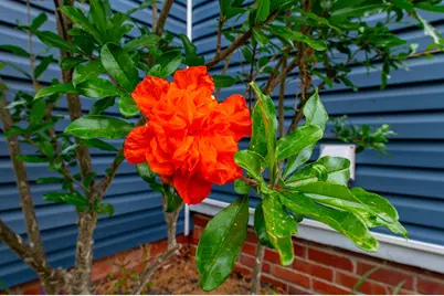 2166 Greene Street, Augusta, GA 30901 - Photo 21