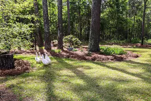 9466 Clarks Mill Rd, Avera, GA 30803 - Photo 61