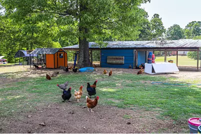 9466 Clarks Mill Road, Avera, GA 30803 - Photo 67